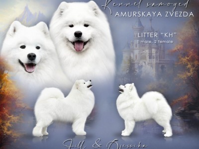 ����� ��&nbsp;���� �&nbsp;�������